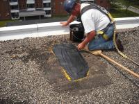 GP Roofing - Ceiling Repairs and Installations image 12